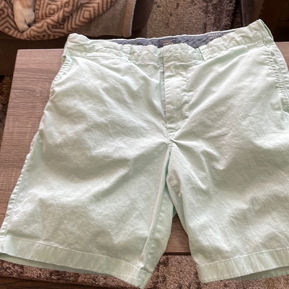 EUC J CREW MENS SHORTS
